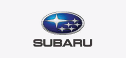 Logo 15